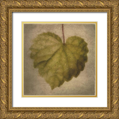 Leaf Silhouette Gold Ornate Wood Framed Art Print with Double Matting by Greene, Taylor