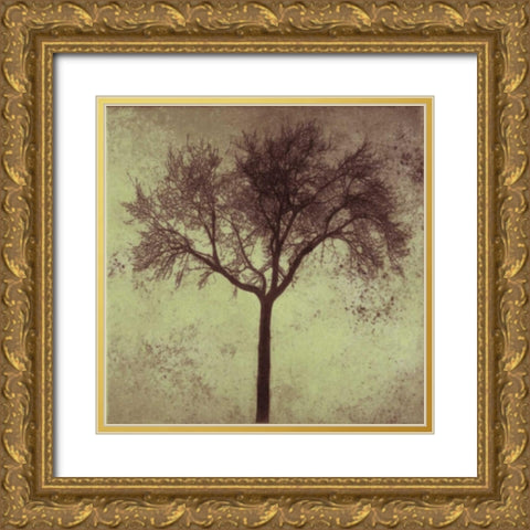 A Tree Silhouette Gold Ornate Wood Framed Art Print with Double Matting by Greene, Taylor