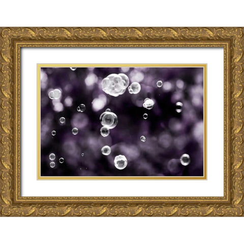 Bubbly Gold Ornate Wood Framed Art Print with Double Matting by Telik, Tracey