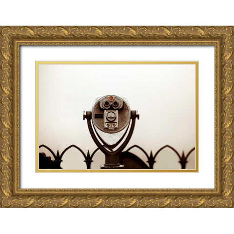 Thru The Viewfinder Gold Ornate Wood Framed Art Print with Double Matting by Telik, Tracey