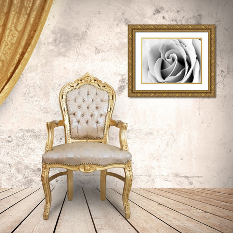 White Noise Rose 3 Gold Ornate Wood Framed Art Print with Double Matting by Telik, Tracey