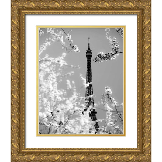 Perspective Image
