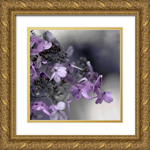 Plum Foliage 1 Gold Ornate Wood Framed Art Print with Double Matting by Telik, Tracey