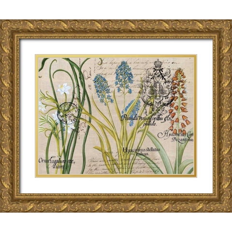Flower Botanical Gold Ornate Wood Framed Art Print with Double Matting by Jordan, Elizabeth