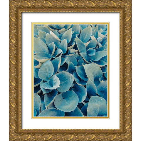 Green Plants Happy Day 1 Gold Ornate Wood Framed Art Print with Double Matting by Urban Epiphany