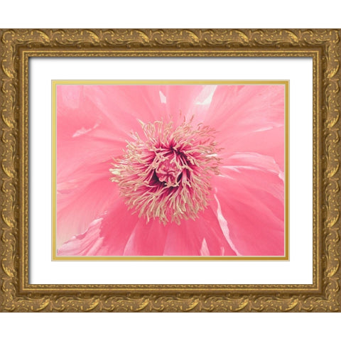 Pink Peony French Macaroon Gold Ornate Wood Framed Art Print with Double Matting by Urban Epiphany