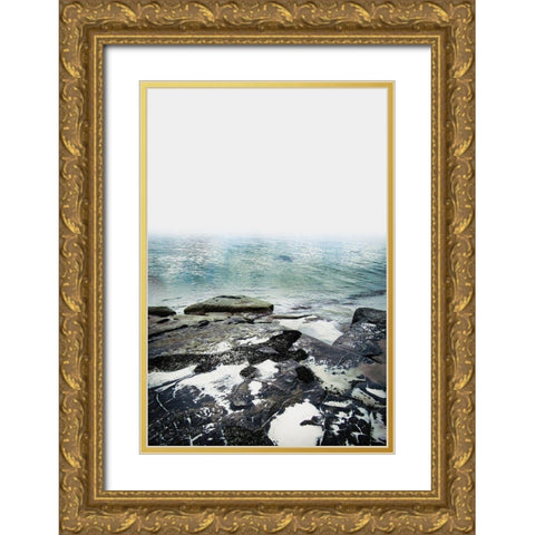 Coastline 1 Gold Ornate Wood Framed Art Print with Double Matting by Urban Epiphany