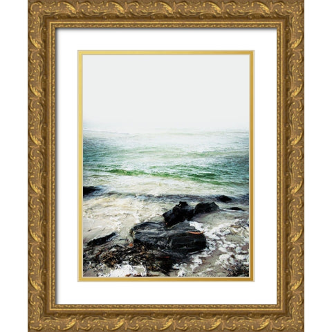 Coastline 2 Gold Ornate Wood Framed Art Print with Double Matting by Urban Epiphany