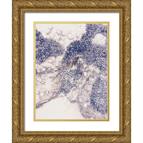 Shells 1 Gold Ornate Wood Framed Art Print with Double Matting by Urban Epiphany