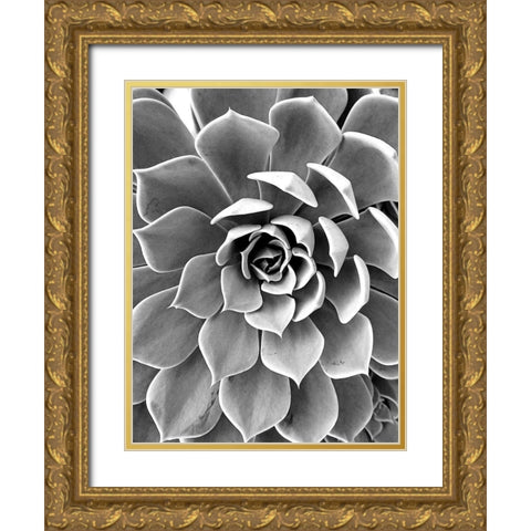 Black White Still Life Gold Ornate Wood Framed Art Print with Double Matting by Urban Epiphany