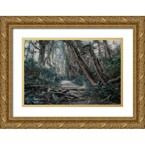 Path In The Forest 2 Gold Ornate Wood Framed Art Print with Double Matting by Kostka, Vladimir