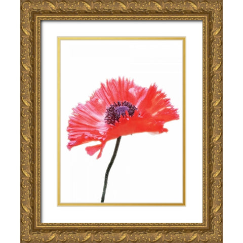 Pink Floral Two Gold Ornate Wood Framed Art Print with Double Matting by Unknown