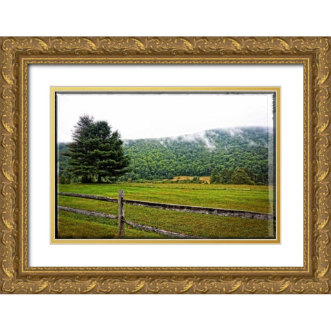Morning Mountain Smoke Gold Ornate Wood Framed Art Print with Double Matting by Foschino, Suzanne
