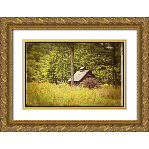 Country Barn 1 Vintage Gold Ornate Wood Framed Art Print with Double Matting by Foschino, Suzanne