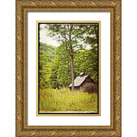 Country Barn 2 Vintage Border Gold Ornate Wood Framed Art Print with Double Matting by Foschino, Suzanne