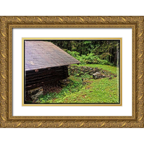 Deep Woods Lean To Vintage Gold Ornate Wood Framed Art Print with Double Matting by Foschino, Suzanne