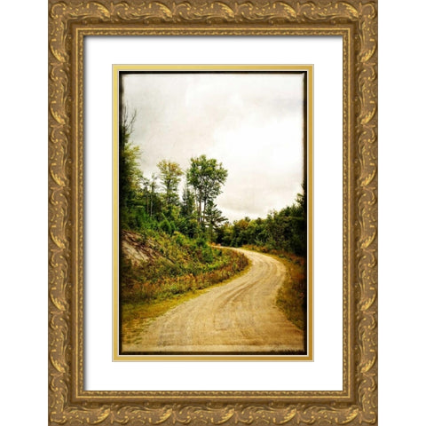 Winding Country Road Gold Ornate Wood Framed Art Print with Double Matting by Foschino, Suzanne