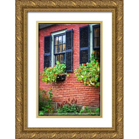Country Store Window Flowers Gold Ornate Wood Framed Art Print with Double Matting by Foschino, Suzanne