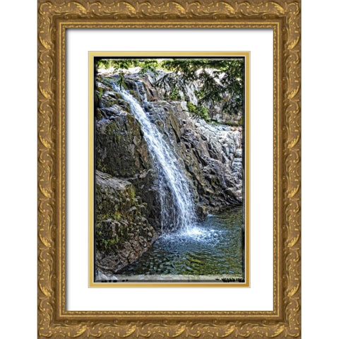 Back Country Waterfall Gold Ornate Wood Framed Art Print with Double Matting by Foschino, Suzanne