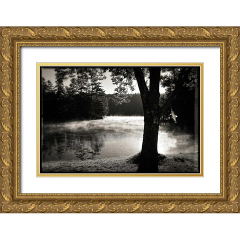 Morning Smoke 2 Gold Ornate Wood Framed Art Print with Double Matting by Foschino, Suzanne