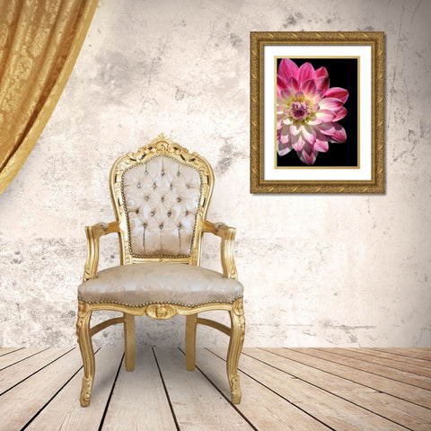 Ombre Dahlia 16 Gold Ornate Wood Framed Art Print with Double Matting by Foschino, Suzanne