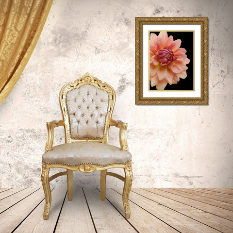 Peach Dahlia 25 Gold Ornate Wood Framed Art Print with Double Matting by Foschino, Suzanne