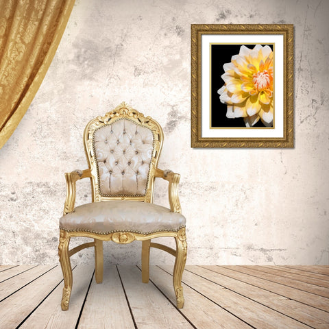 Cheerful Dahlia 28 Gold Ornate Wood Framed Art Print with Double Matting by Foschino, Suzanne