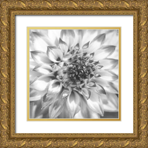 Black and White Dalia 4 Gold Ornate Wood Framed Art Print with Double Matting by Foschino, Suzanne