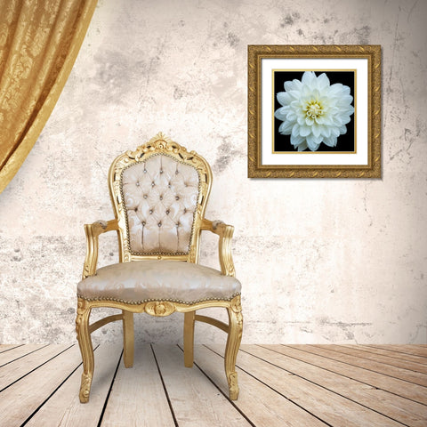 Dahlia 5 Gold Ornate Wood Framed Art Print with Double Matting by Foschino, Suzanne