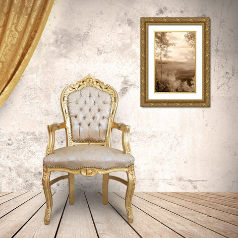 Peaceful Morning I Gold Ornate Wood Framed Art Print with Double Matting by Nagler, Monte