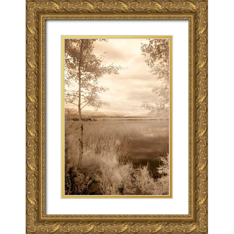 Peaceful Morning I Gold Ornate Wood Framed Art Print with Double Matting by Nagler, Monte