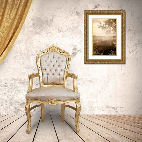Peaceful Morning II Gold Ornate Wood Framed Art Print with Double Matting by Nagler, Monte