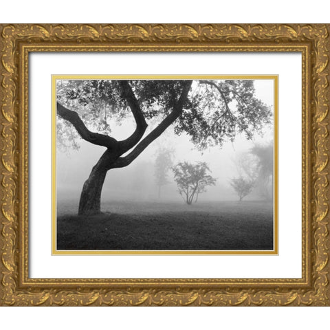 Into the Mist Gold Ornate Wood Framed Art Print with Double Matting by Nagler, Monte