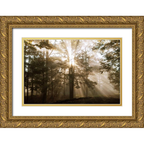 A New Day II Gold Ornate Wood Framed Art Print with Double Matting by Dahlgren, Ann