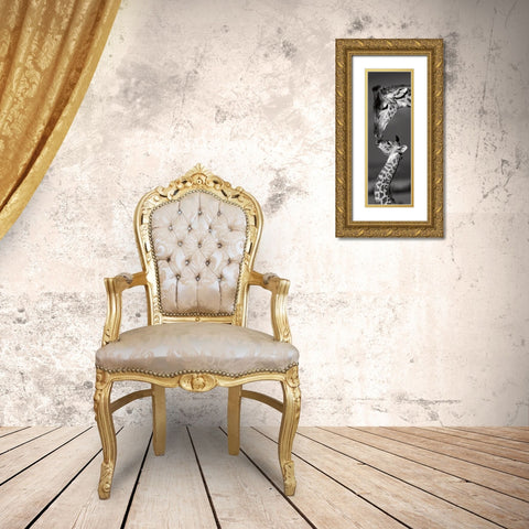 Masai Mara Giraffes Gold Ornate Wood Framed Art Print with Double Matting by Delimont, Danita