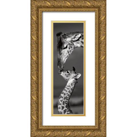 Masai Mara Giraffes Gold Ornate Wood Framed Art Print with Double Matting by Delimont, Danita
