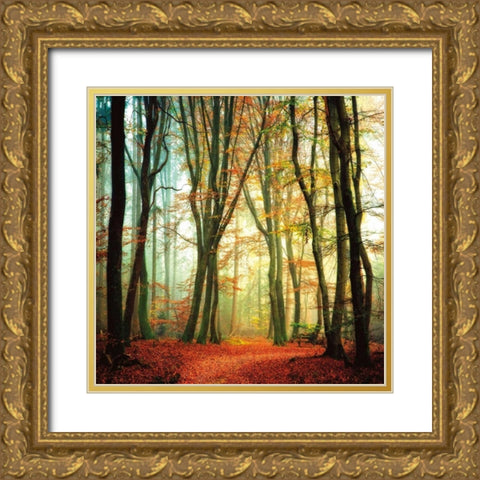 Colorfall Gold Ornate Wood Framed Art Print with Double Matting by Van De Goor, Lars