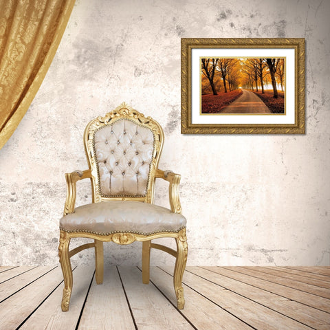 Well Traveled Gold Ornate Wood Framed Art Print with Double Matting by Van De Goor, Lars
