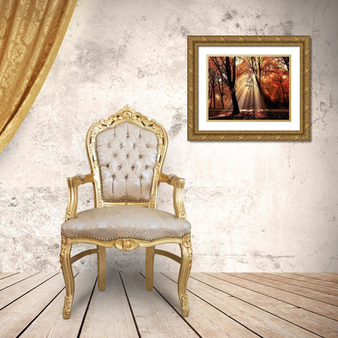 Dressed To Gold Ornate Wood Framed Art Print with Double Matting by Van de Goor, Lars