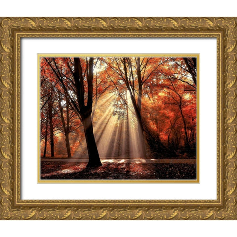 Dressed To Gold Ornate Wood Framed Art Print with Double Matting by Van de Goor, Lars
