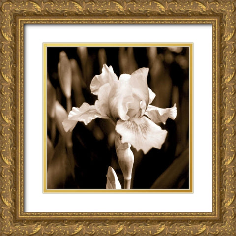 Veronicas Garden I Gold Ornate Wood Framed Art Print with Double Matting by Donovan, Kelly