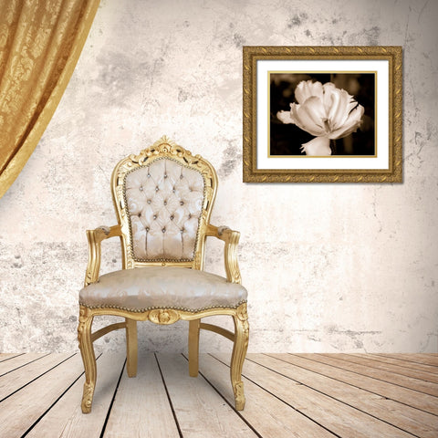 Veronicas Garden II Gold Ornate Wood Framed Art Print with Double Matting by Donovan, Kelly