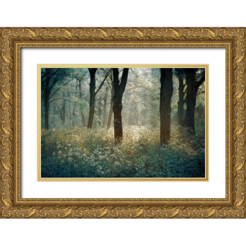 Foret De Gold Ornate Wood Framed Art Print with Double Matting by Van de Goor, Lars