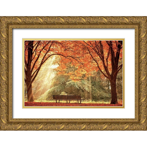 Sun Never Set Gold Ornate Wood Framed Art Print with Double Matting by Van de Goor, Lars
