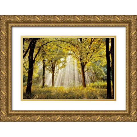 Dressed To Gold Ornate Wood Framed Art Print with Double Matting by Van de Goor, Lars