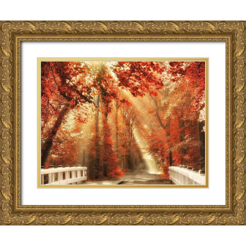 Red for Rest Gold Ornate Wood Framed Art Print with Double Matting by Van de Goor, Lars