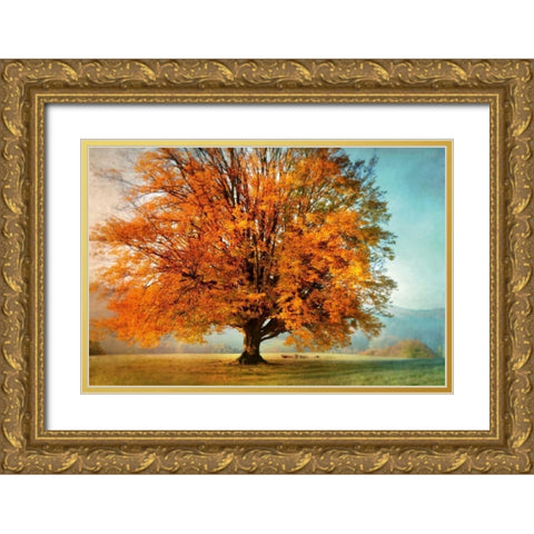 Autumns Passion Gold Ornate Wood Framed Art Print with Double Matting by Weisz, Irene