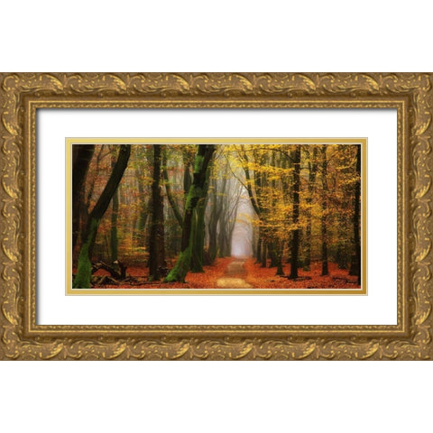 Shimmer Gold Ornate Wood Framed Art Print with Double Matting by Van de Goor, Lars