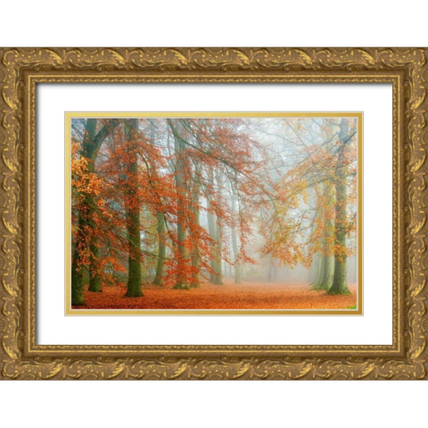Autumn Mist Gold Ornate Wood Framed Art Print with Double Matting by Van de Goor, Lars