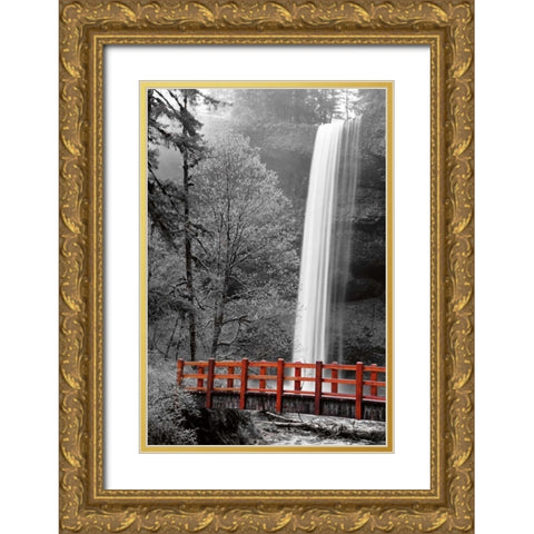 Silver Falls Gold Ornate Wood Framed Art Print with Double Matting by Delimont, Danita